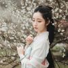 Dj阿磊-全中文國語House音樂經典再現最新刀郎中文Dj首首動聽車載串燒