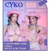莊妮 你在他鄉(xiāng)還好嗎(Dj阿柳版 FunkyHouse Mix)