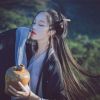 新興Dj順少-全中文國粵語柔歌音樂老陳酒的故事高音質CD專輯連班串燒